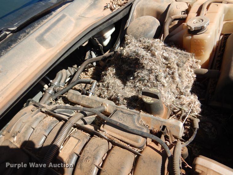 image for item DF0064 2009 Dodge Charger