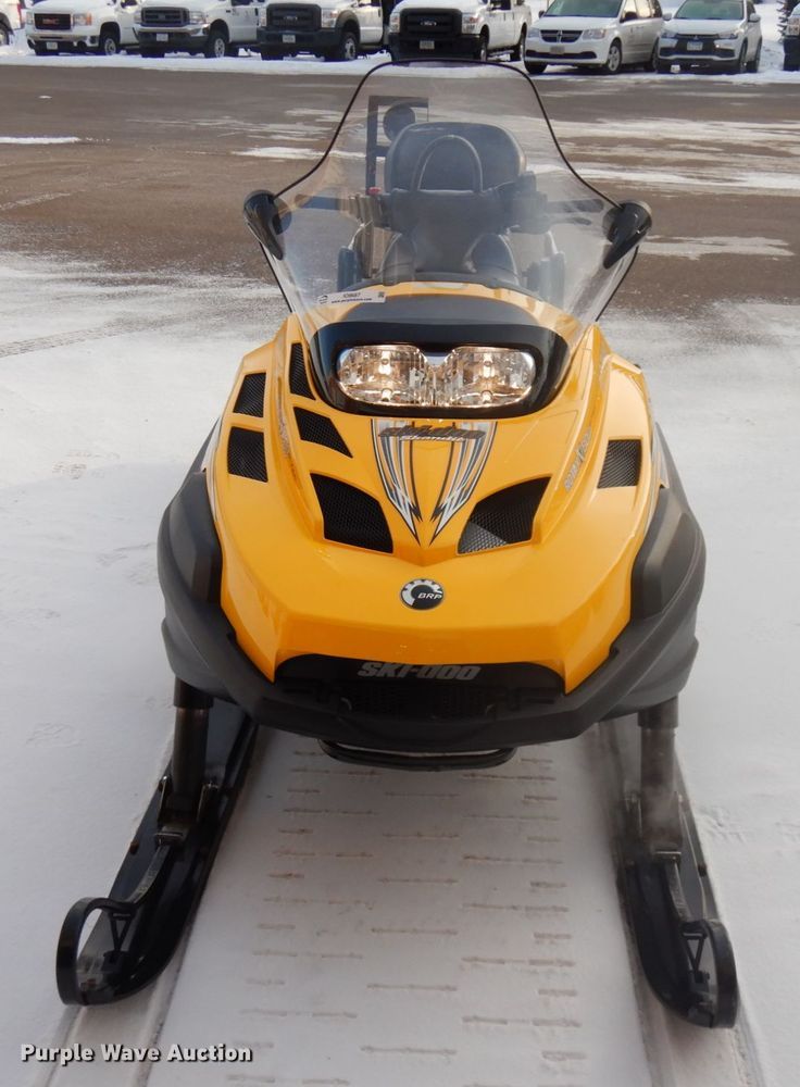 image for item IO9687 Ski-Doo Skandic  snowmobile