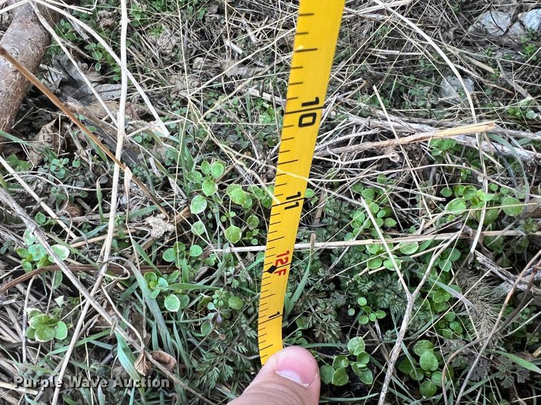 image for item ID9712 Newton  Gravity grain cleaner