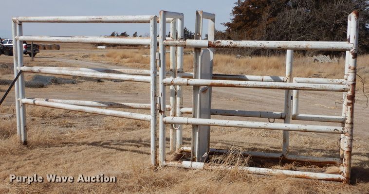 image for item IE9732 Horse stock