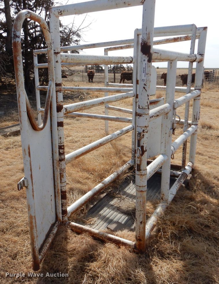 image for item IE9732 Horse stock