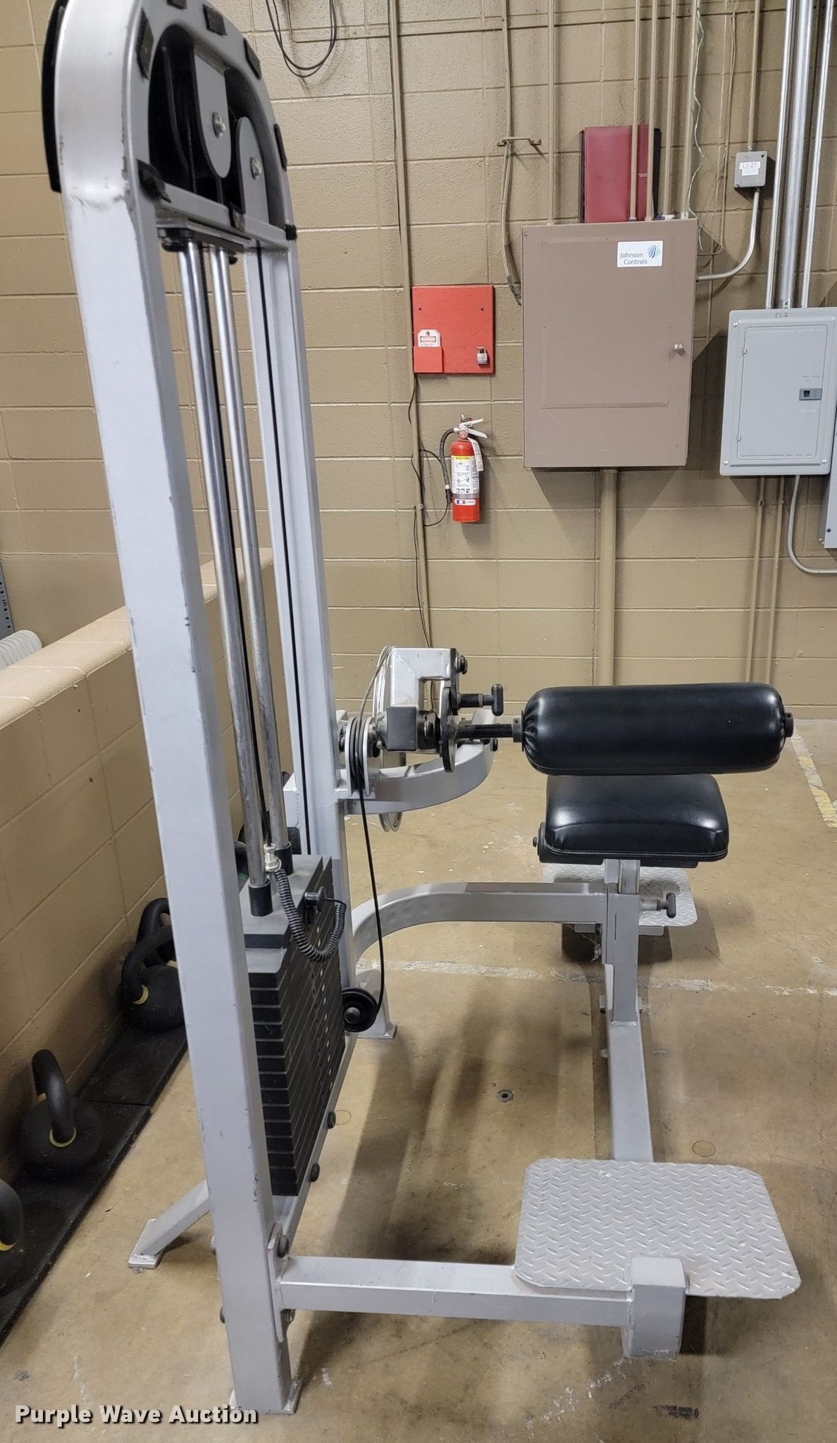 Pro Maxima Performance Plus abdominal/lower back machine in Olathe, KS ...