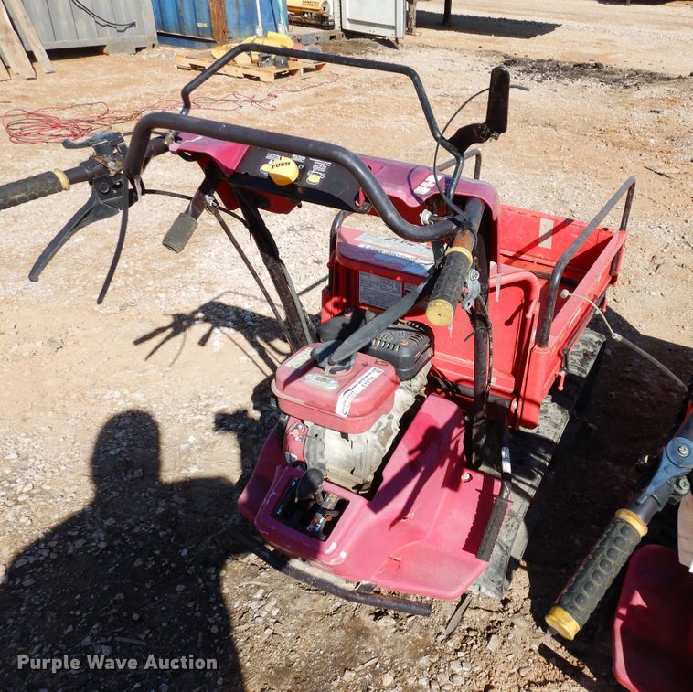 image for item EY9785 (2) Cany Com BP419 power buggies