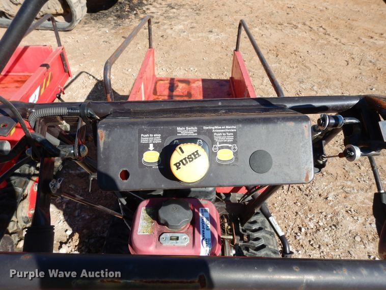 image for item EY9786 (2) Cany Com BP419 power buggies