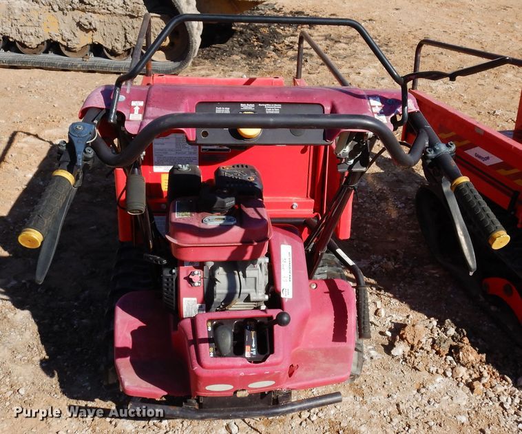 image for item EY9786 (2) Cany Com BP419 power buggies