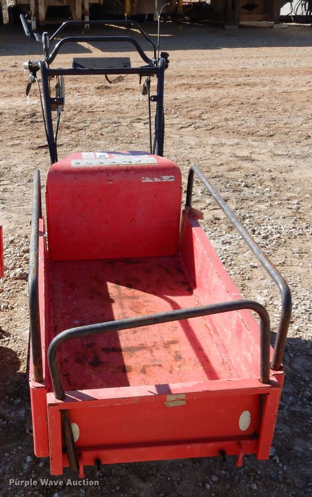 image for item EY9787 (2) Cany Com BP419 power buggies