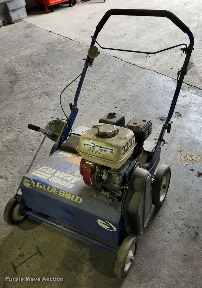 image for item HK9395 Blue Bird 968999441  seeder