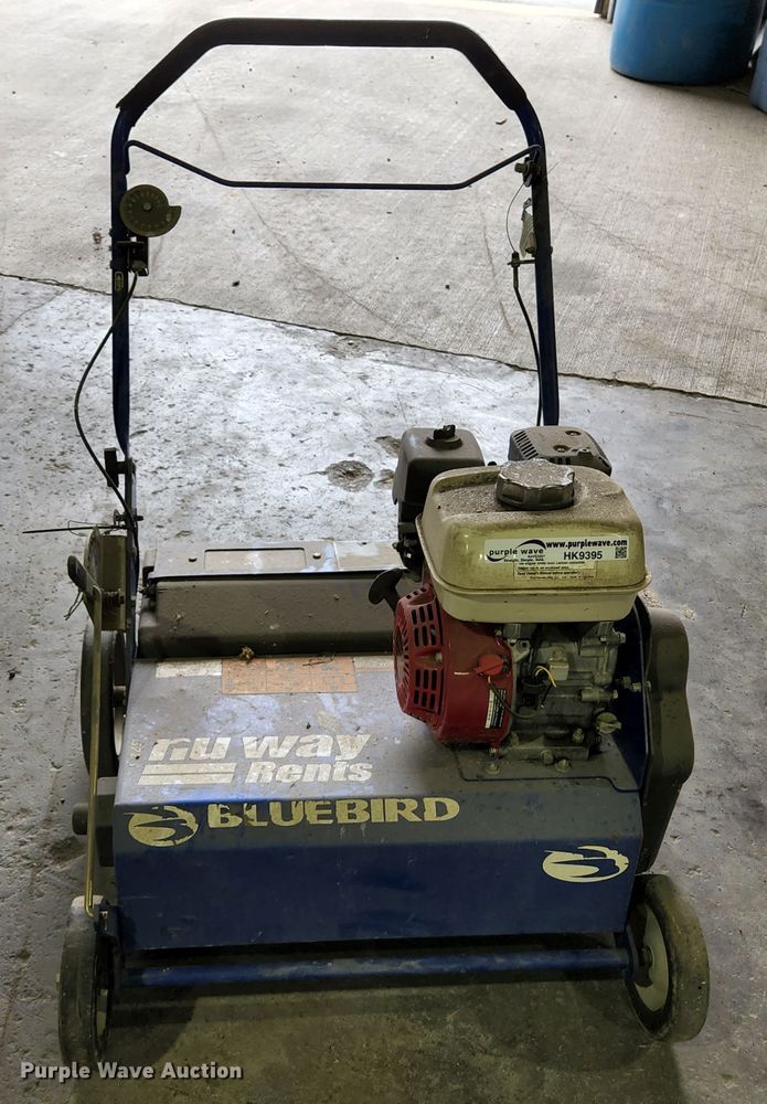 image for item HK9395 Blue Bird 968999441  seeder