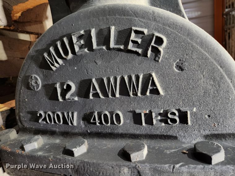 image for item HK9404 (2) Mueller 12" flanged gate valves