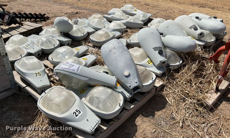 image for item DM8435 Approximately (43) American Electric Lighting street light lamps