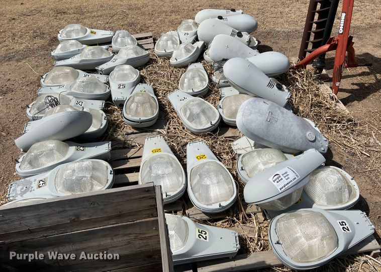 image for item DM8435 Approximately (43) American Electric Lighting street light lamps