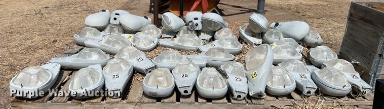 image for item DM8435 Approximately (43) American Electric Lighting street light lamps