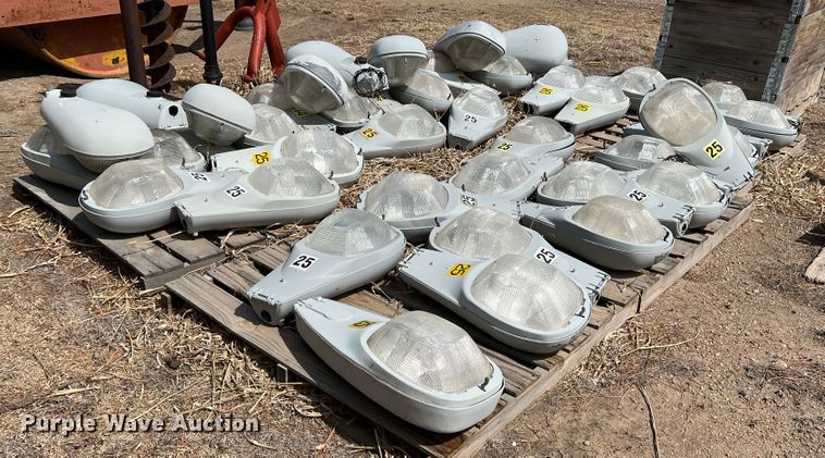 image for item DM8435 Approximately (43) American Electric Lighting street light lamps