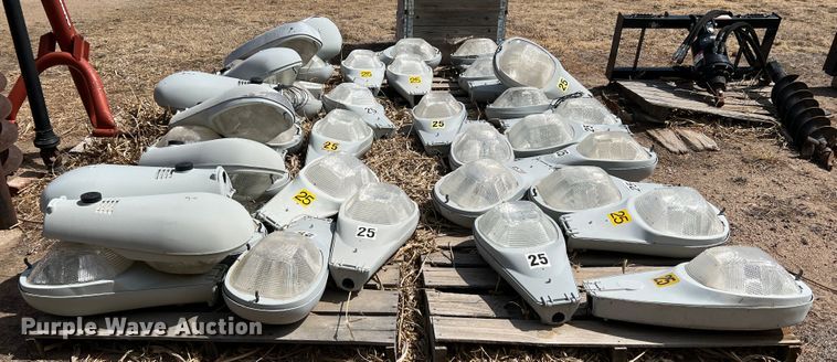 image for item DM8435 Approximately (43) American Electric Lighting street light lamps