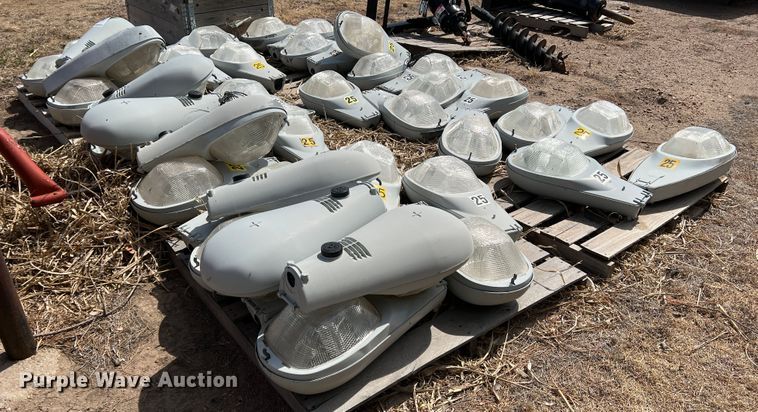 image for item DM8435 Approximately (43) American Electric Lighting street light lamps