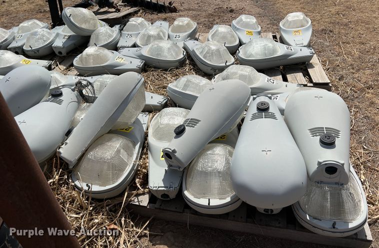 image for item DM8435 Approximately (43) American Electric Lighting street light lamps