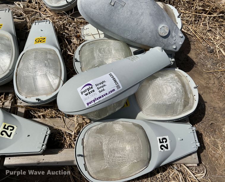 image for item DM8435 Approximately (43) American Electric Lighting street light lamps