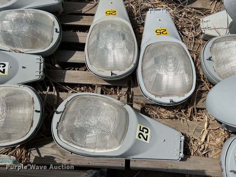 image for item DM8435 Approximately (43) American Electric Lighting street light lamps