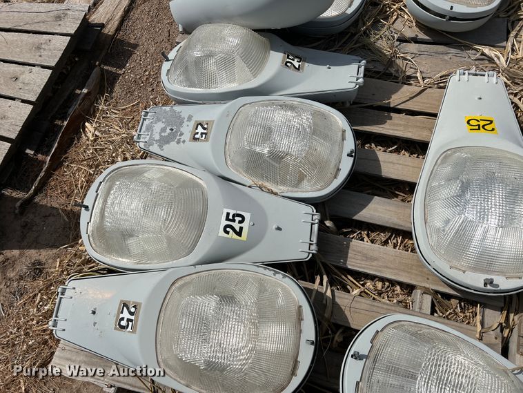 image for item DM8435 Approximately (43) American Electric Lighting street light lamps