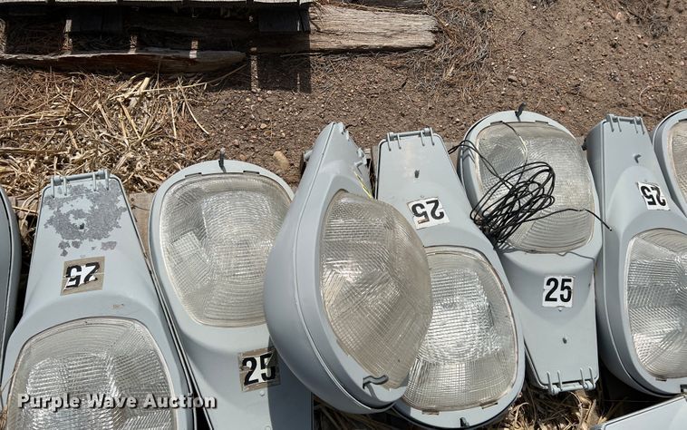 image for item DM8435 Approximately (43) American Electric Lighting street light lamps