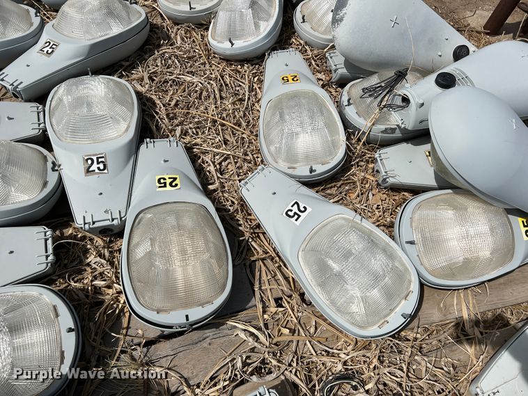 image for item DM8435 Approximately (43) American Electric Lighting street light lamps