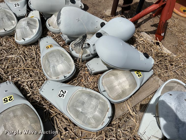 image for item DM8435 Approximately (43) American Electric Lighting street light lamps