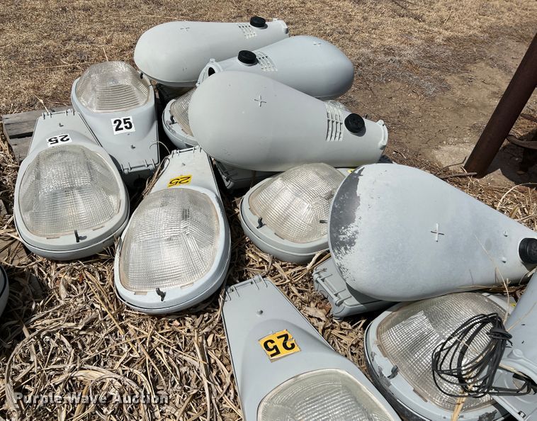 image for item DM8435 Approximately (43) American Electric Lighting street light lamps