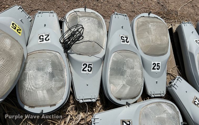image for item DM8435 Approximately (43) American Electric Lighting street light lamps