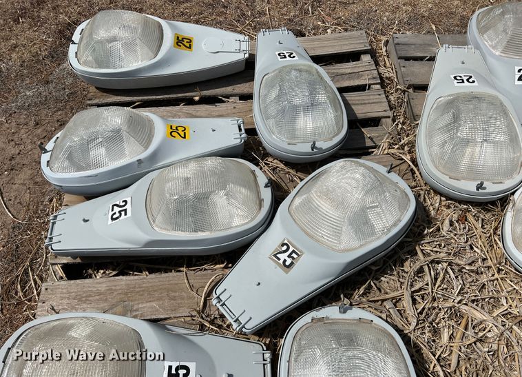 image for item DM8435 Approximately (43) American Electric Lighting street light lamps