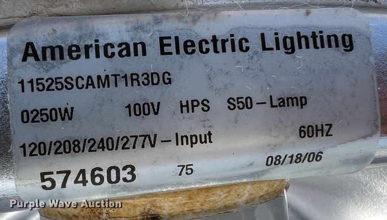 image for item DM8435 Approximately (43) American Electric Lighting street light lamps