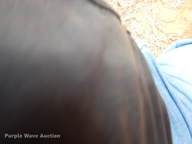 image for item DJ8935 1995 Peterbilt 379  semi truck