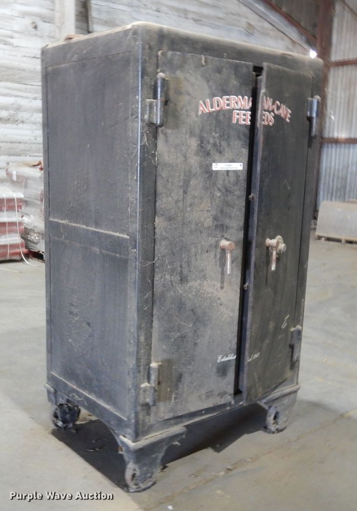 image for item KV9991 Alderman-Cave Feeds safe