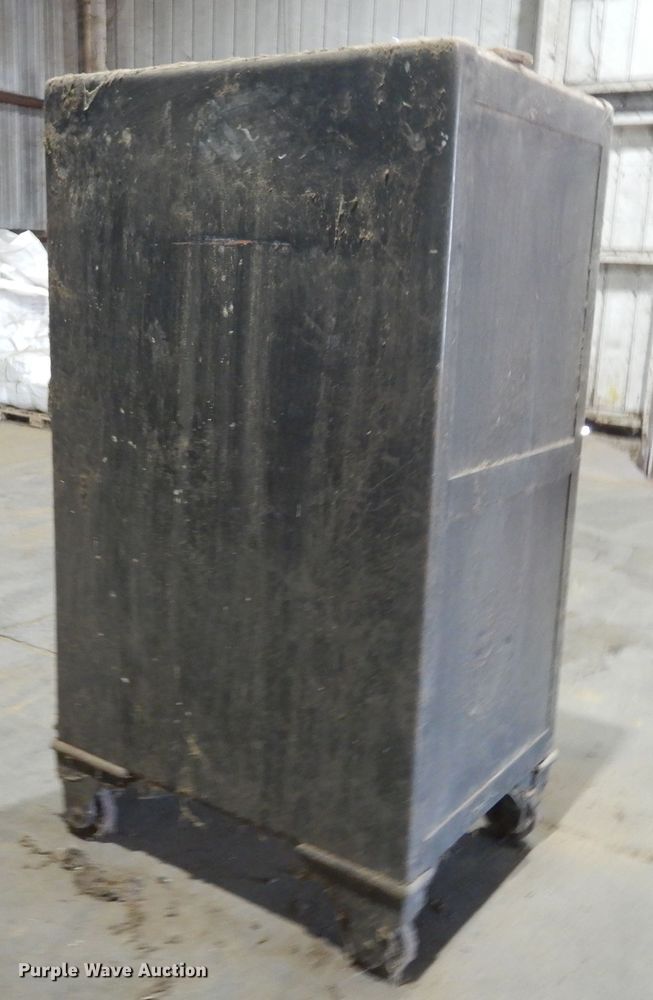 image for item KV9991 Alderman-Cave Feeds safe