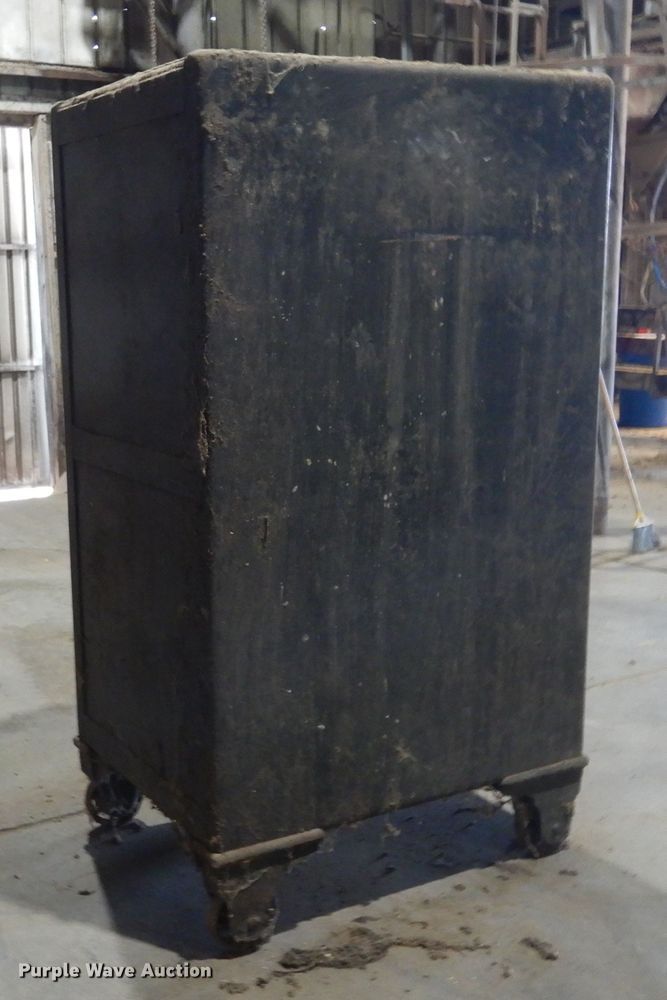 image for item KV9991 Alderman-Cave Feeds safe