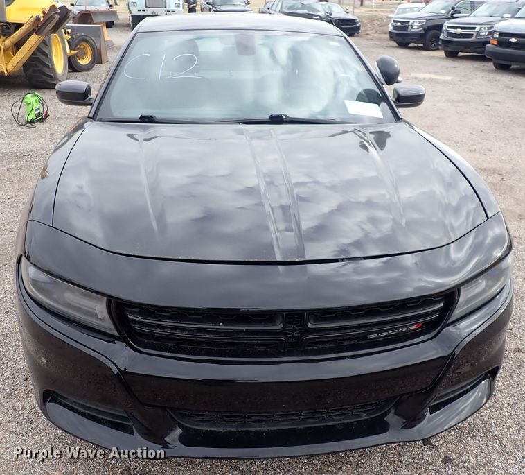 image for item DP4469 2017 Dodge Charger Police