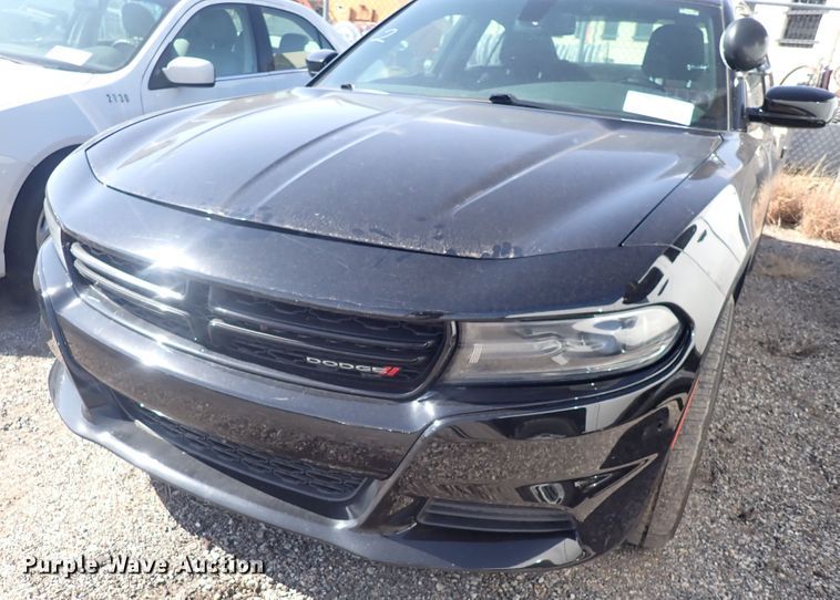 image for item DP4474 2017 Dodge Charger Police