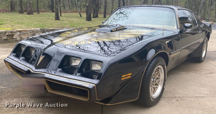 image for item DM4045 1979 Pontiac Trans Am
