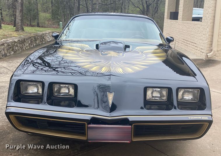 image for item DM4045 1979 Pontiac Trans Am