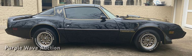 image for item DM4045 1979 Pontiac Trans Am