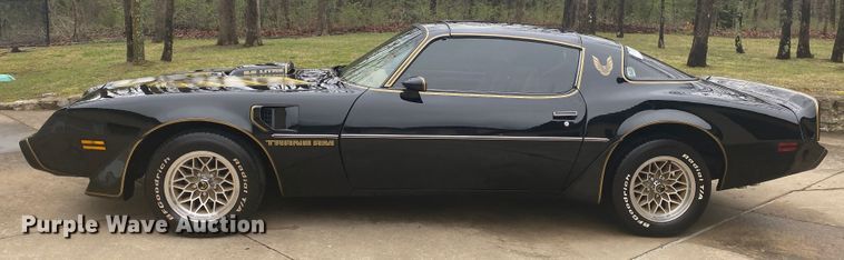 image for item DM4045 1979 Pontiac Trans Am