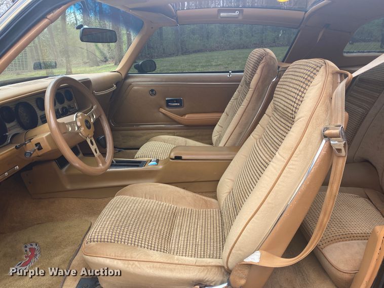 image for item DM4045 1979 Pontiac Trans Am