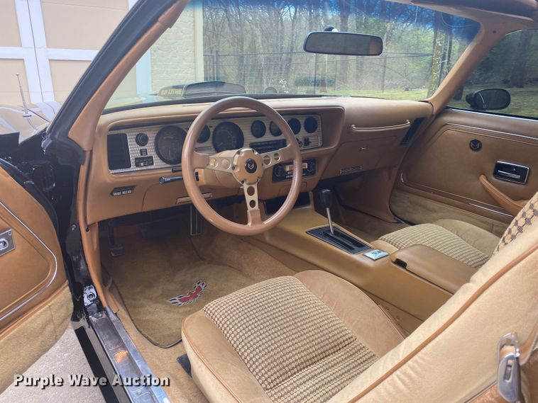 image for item DM4045 1979 Pontiac Trans Am