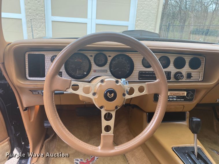 image for item DM4045 1979 Pontiac Trans Am