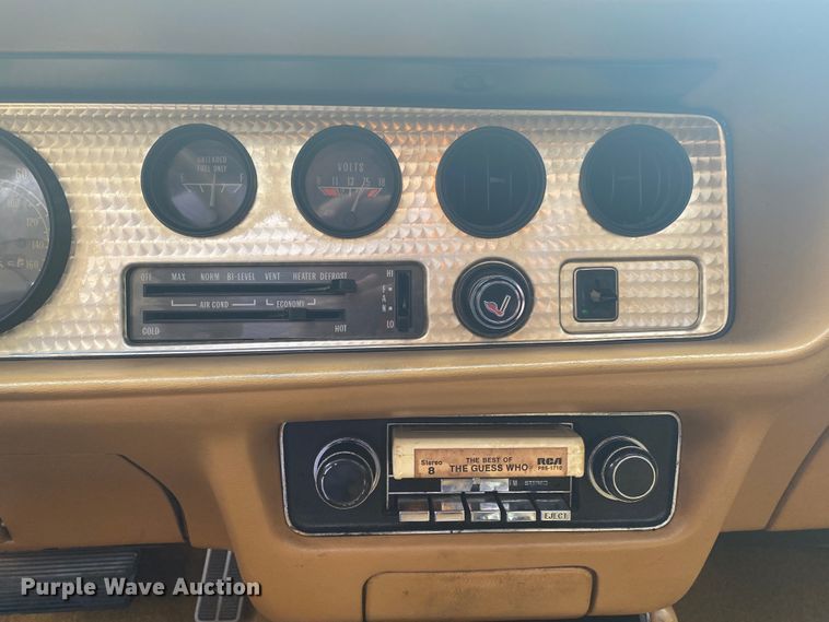 image for item DM4045 1979 Pontiac Trans Am