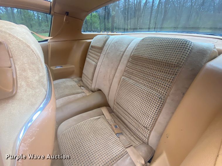 image for item DM4045 1979 Pontiac Trans Am