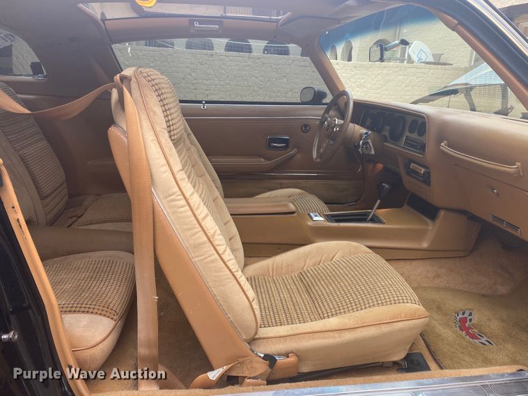 image for item DM4045 1979 Pontiac Trans Am