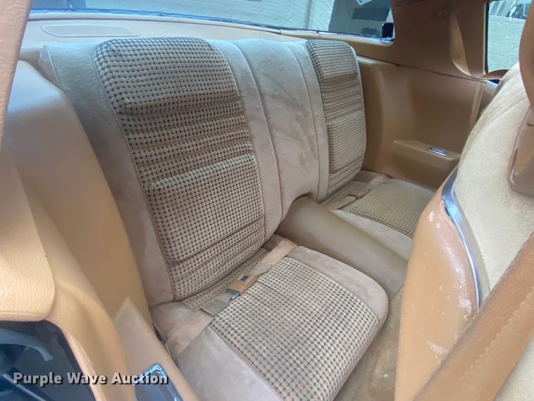 image for item DM4045 1979 Pontiac Trans Am