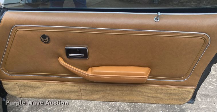 image for item DM4045 1979 Pontiac Trans Am