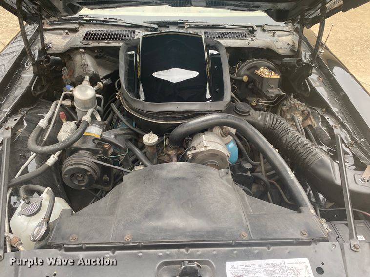 image for item DM4045 1979 Pontiac Trans Am