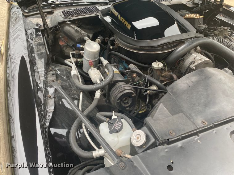 image for item DM4045 1979 Pontiac Trans Am